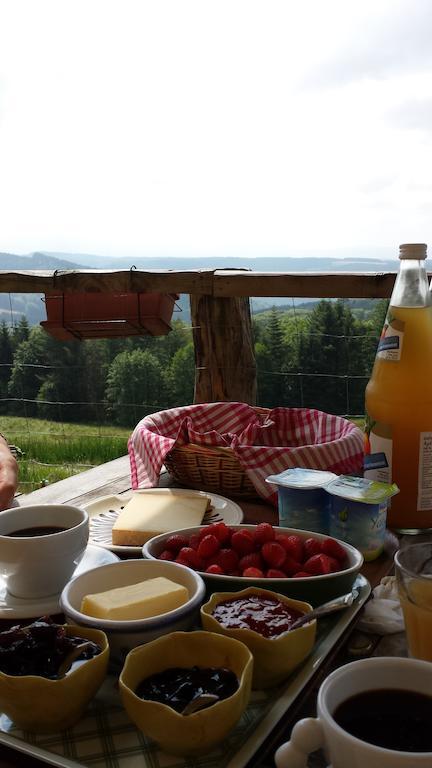 Les Grandes Fontaines Bed & Breakfast La Longine Екстериор снимка