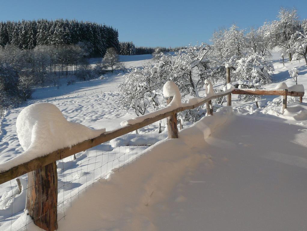 Les Grandes Fontaines Bed & Breakfast La Longine Екстериор снимка