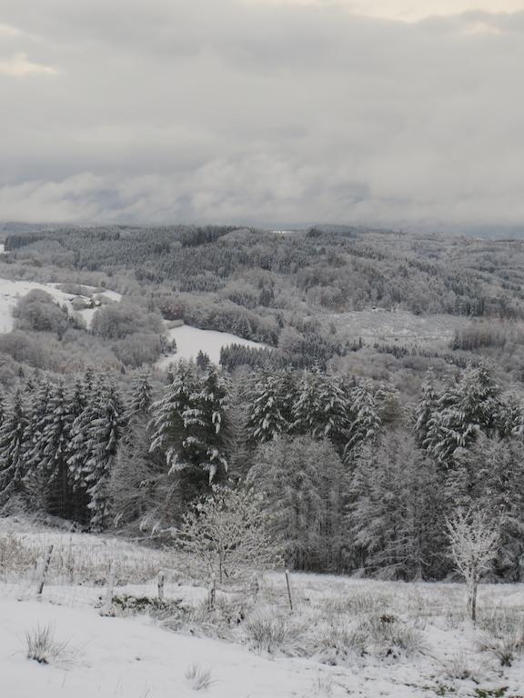 Les Grandes Fontaines Bed & Breakfast La Longine Екстериор снимка